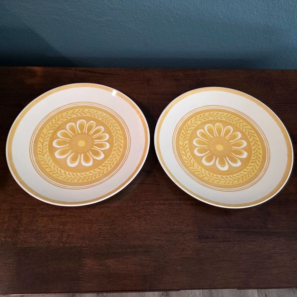 2 Vtg Royal China USA Cavalier Ironstone CASABLANCA Floral 10” Dinner plate MCM